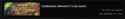 48 KB