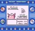 17 KB
