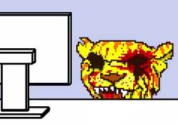 33 KB