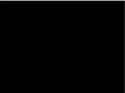 1.6 MB