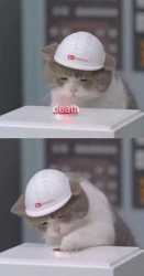 39 KB