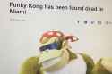 177 KB