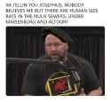 39 KB