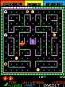 244 KB