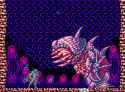 19 KB