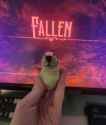 2.62 MB