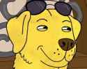 19 KB