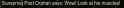 19 KB