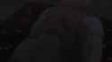 1.31 MB