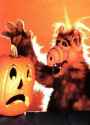 49 KB