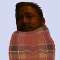 33 KB