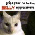 20 KB