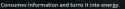 24 KB