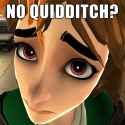 no_quidditch