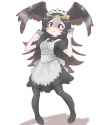 __striated_caracara_kemono_friends_and_1_more_drawn_by_k_susiinochi24__sample-bdf99505bc44347d5cebc4697b28d4d7