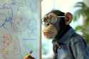 monkey-is-sitting-desk-with-white-board-him_1375-52514