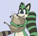 maypul_raccoon_squeeze