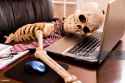 working-to-death-business-mans-skeleton-using-laptop-in-office[1]