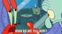 how-do-we-tell-him-mr-krabs