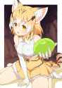 __sand_cat_kemono_friends_drawn_by_kamuraaa_615__096c41b1ac3604a7581a8de9acc44533