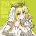 __nero_claudius_nero_claudius_and_nero_claudius_fate_and_1_more_drawn_by_zhang5180__0586f4655149ccaf27a6d2e2301c36f5