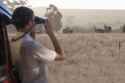 young-man-watching-wildlife-through-binoculars-stellenbosch-south-africa-ISF17077