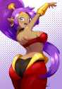 __shantae_shantae_drawn_by_hyunh211_vontornado__sample-2119cbe9cae3c7aaac0dc494eea316a1