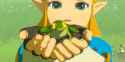 Zelda-With-Frog-Age-Of-Calamity