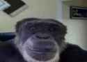 monke