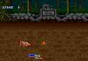 Golden Axe (World) (v1.1)-250108-085402