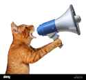 cat_megaphone