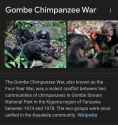 gome chimpanzee war