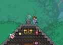 Terraria cat 2