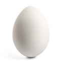 white-egg