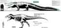 deinosuchus trex