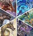 The 6 dragons