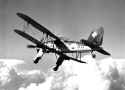 Fieseler_Fi_167