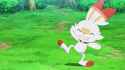 happy jumpy scorbunny