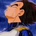 vegeta-rain