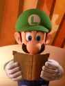 luigi_book