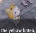 the yellow kitten