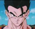 gohan