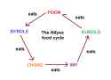 atlyss food cycle