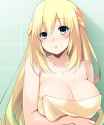 vert_towel