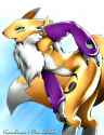 renamon karabiner