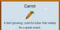 carrot