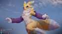 1691219362.dogzeela_renamon_type_c1