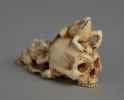 Frogs on skull - Netsuke, unsigned