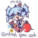 control_cock