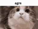 agre-cat